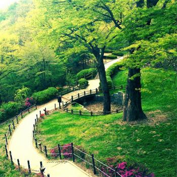 南漢山城道立公園.jpg