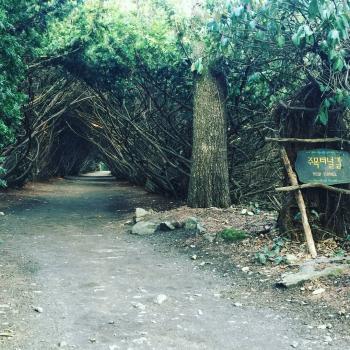 碧草池文化樹木園(官網).jpg