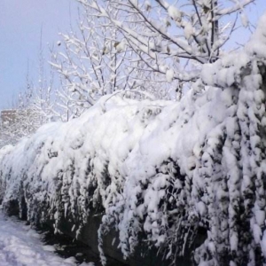 北京山区降雪 未达初雪标准